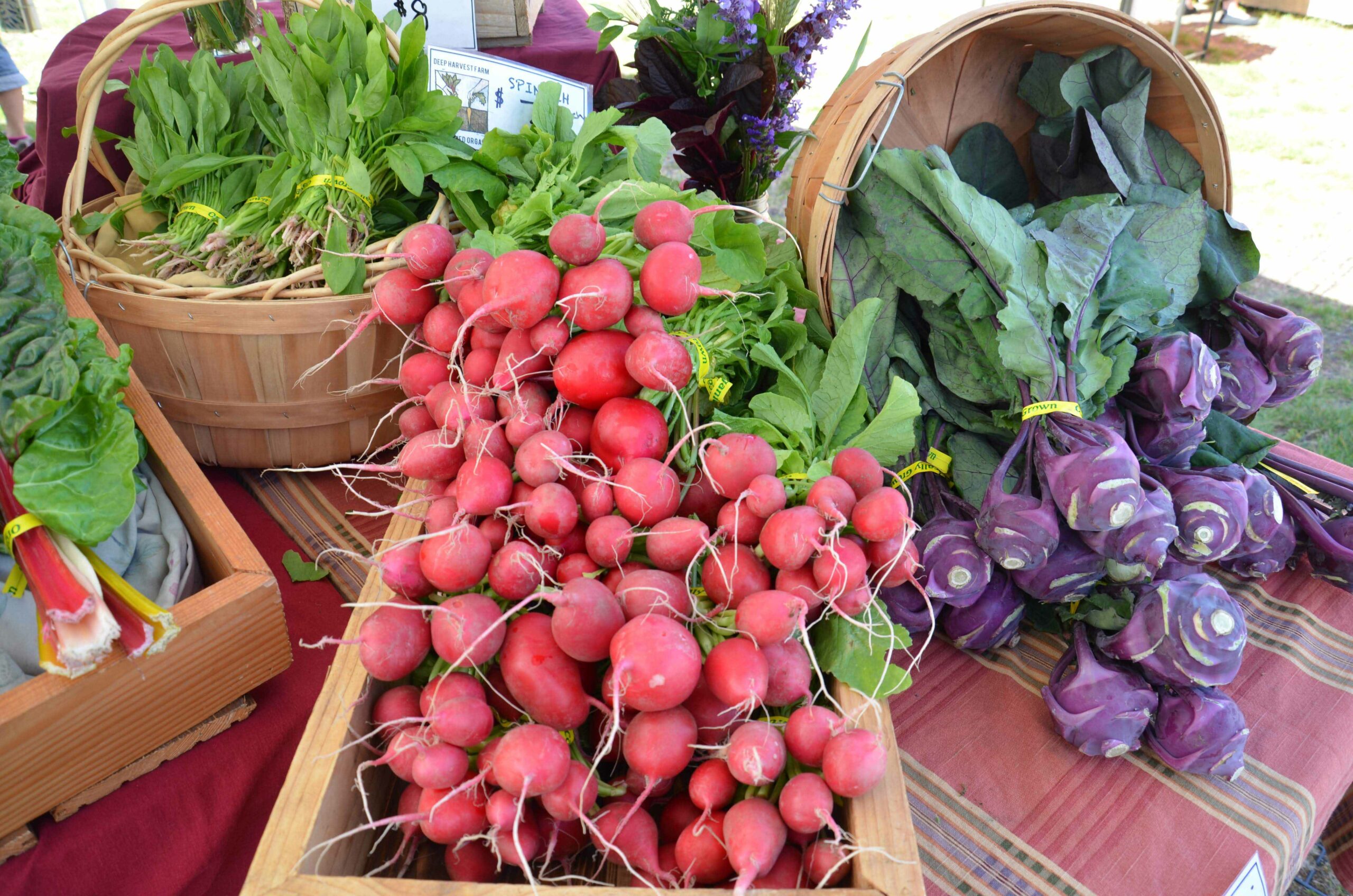 Bayview farmers market