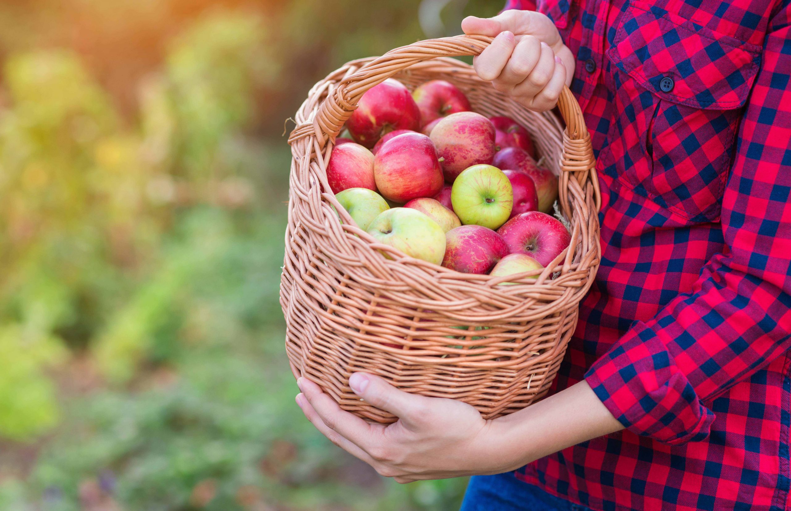 Whidbey Island Cider Festival