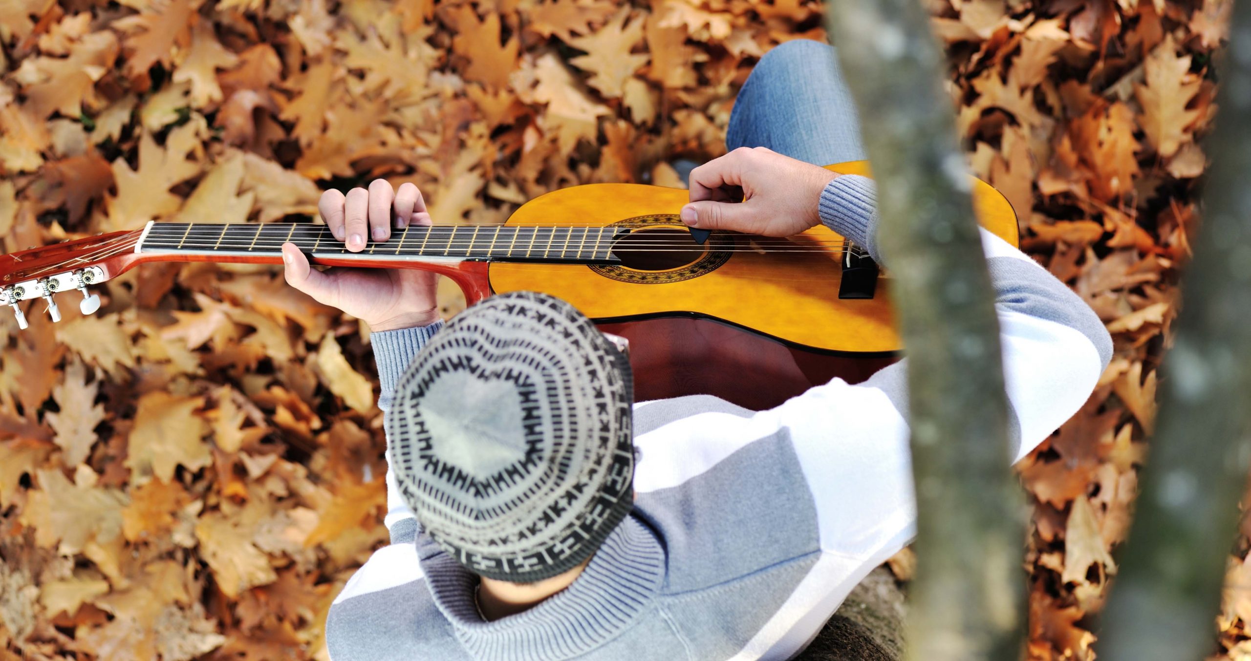 Bluegrass Concert at Meerkerk Gardens