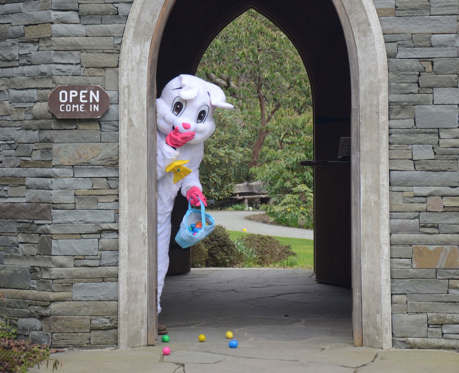 Whidbey Telecom events Easter Egg Hunt at Meerkerk Gardens